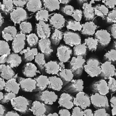 Fibrous structure formation technology 파이버엔텍 제품 이미지